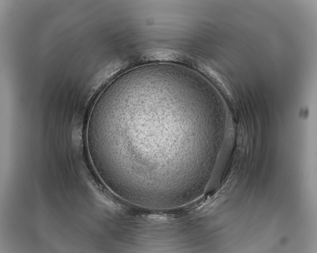 X0000091060394200708131135