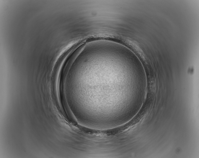 X0000091060395200708131135