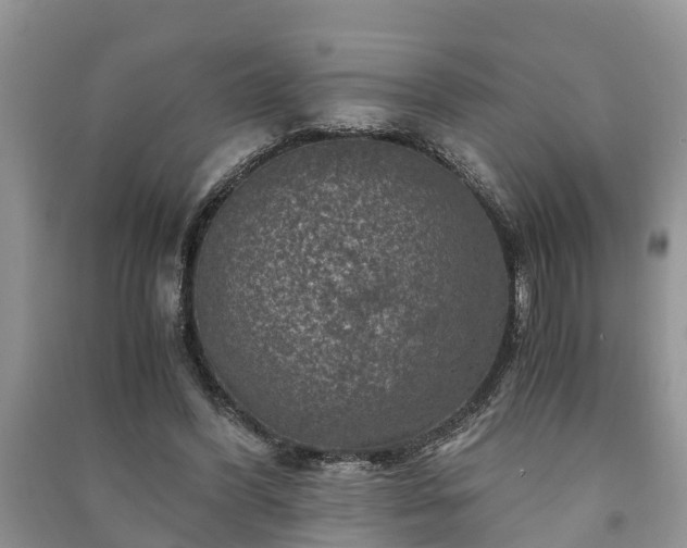 X0000091060396200708131135