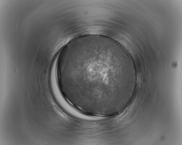 X0000091060397200708131135