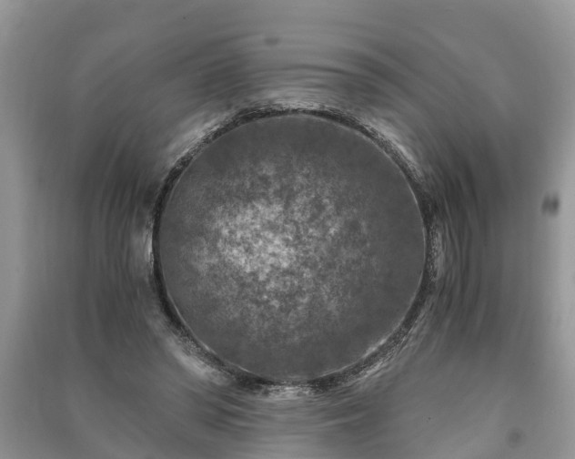 X0000091060398200708131135
