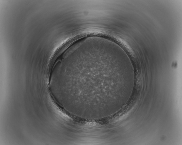 X0000091060399200708131135