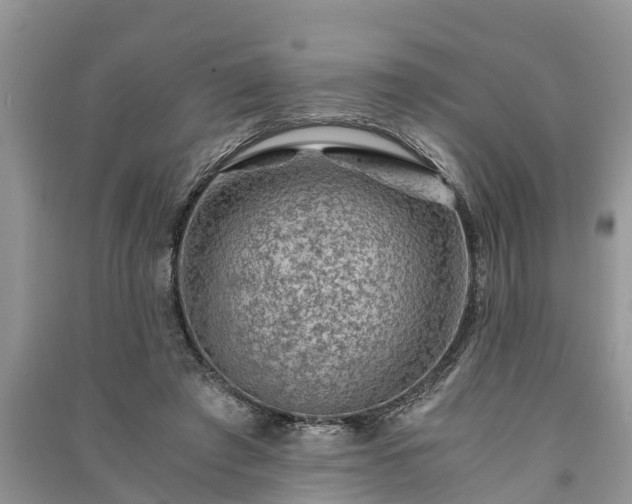 X0000091060401200708131134