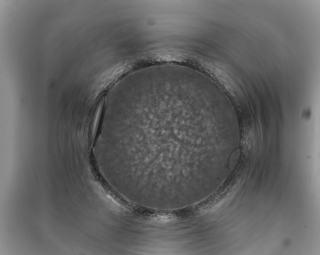 X0000091060402200708131134