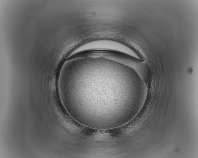 X0000091060403200708131134