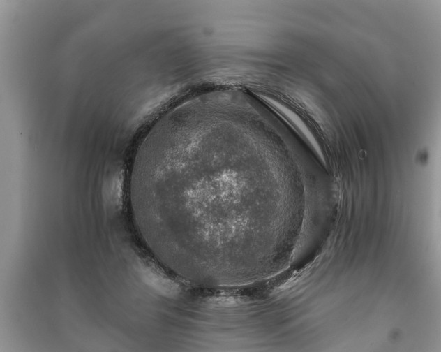 X0000091060404200708131134