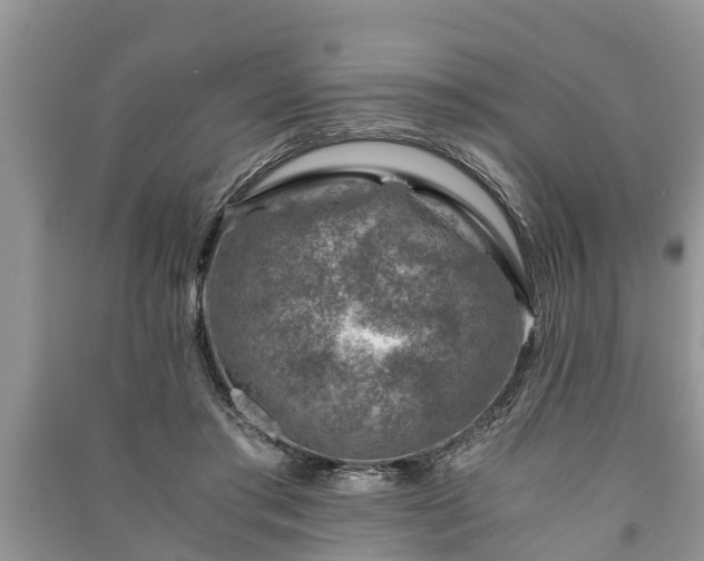 X0000091060405200708131134