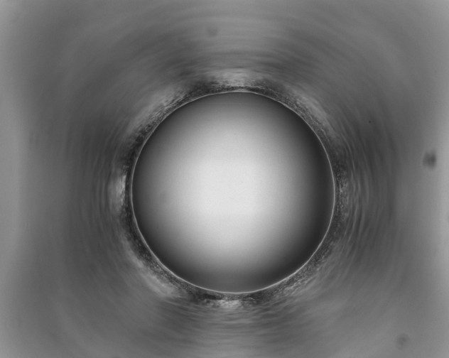 X0000091060406200708131134