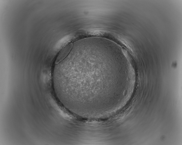 X0000091060407200708131134