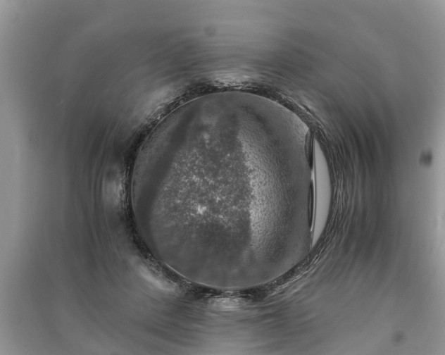 X0000091060408200708131134