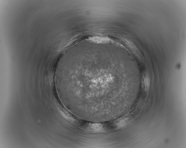 X0000091060409200708131134