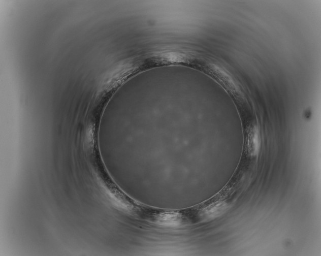 X0000091060410200708131134