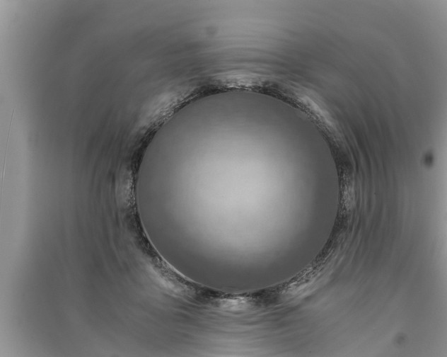 X0000091060411200708131134