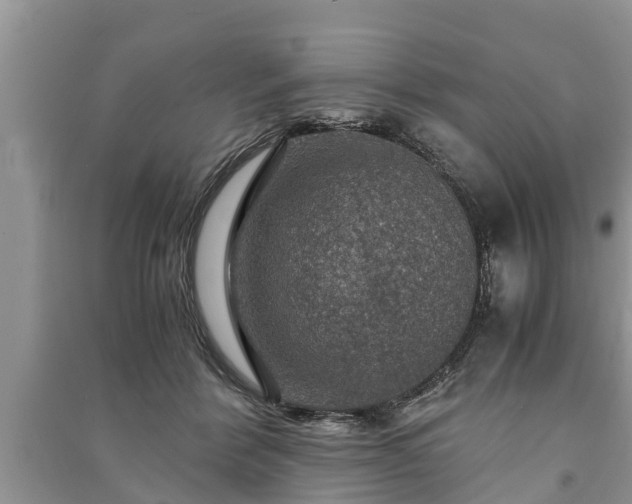 X0000091060412200708131134