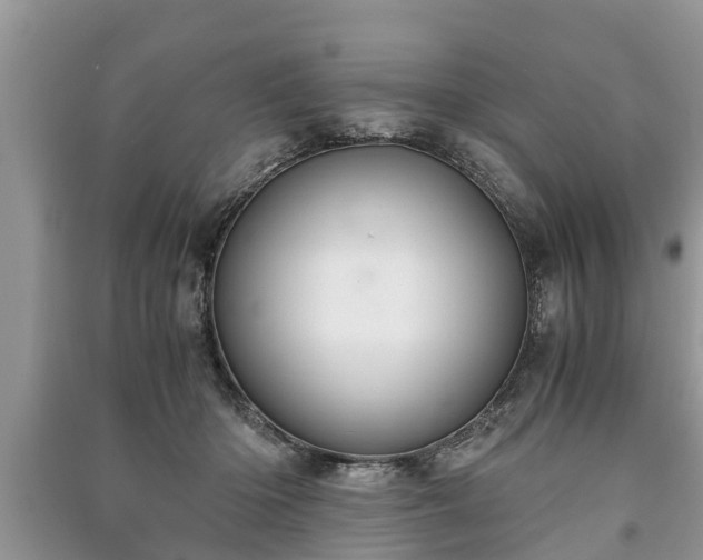 X0000091060414200708131134