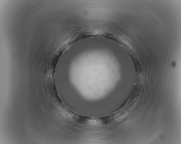 X0000091060415200708131134