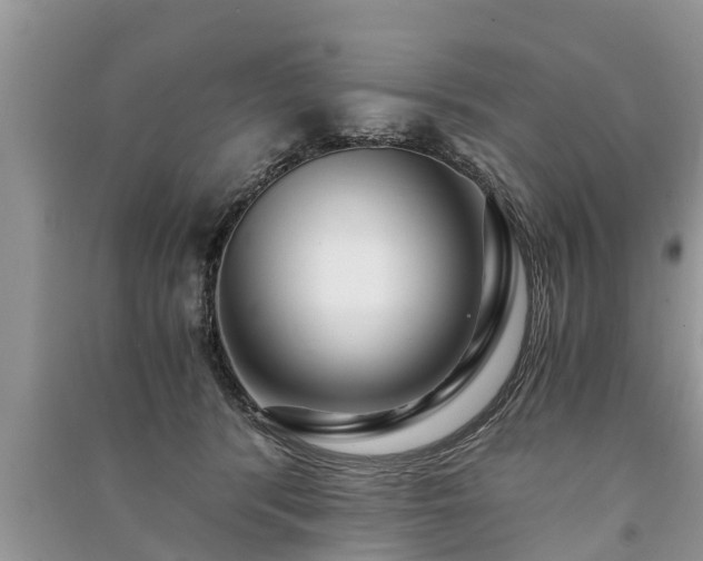 X0000091060416200708131134