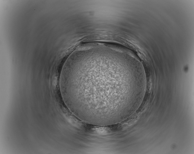 X0000091060417200708131134