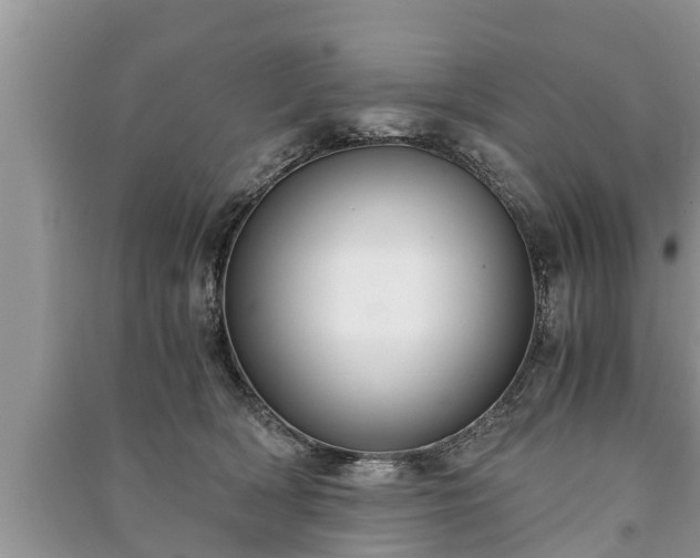 X0000091060418200708131134