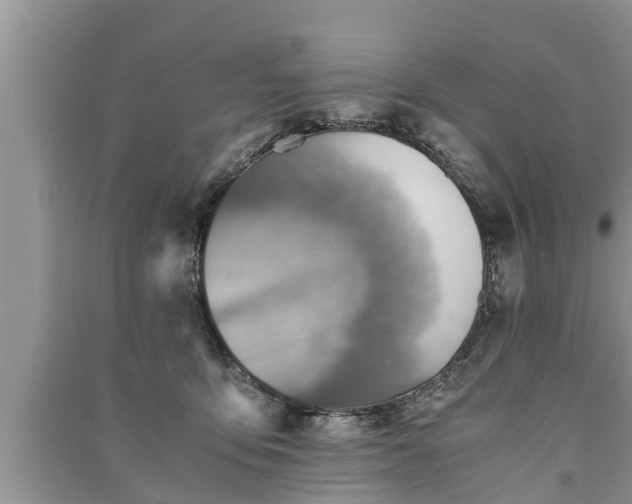 X0000091060419200708131134
