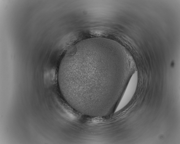 X0000091060420200708131134