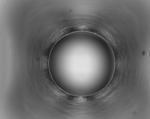 X0000091060421200708131134
