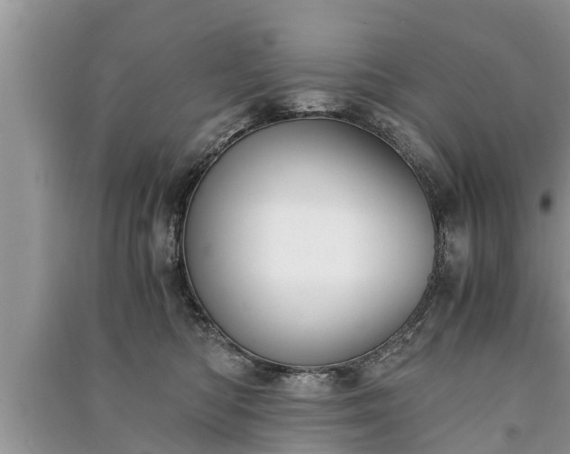 X0000091060422200708131134