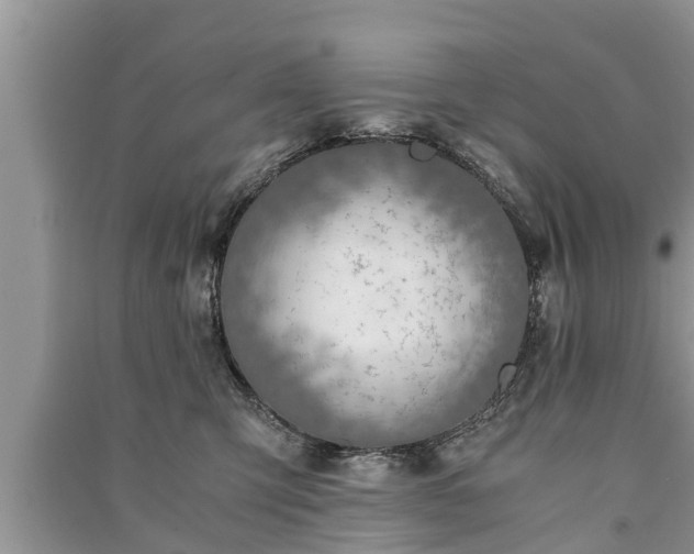 X0000091060423200708131134