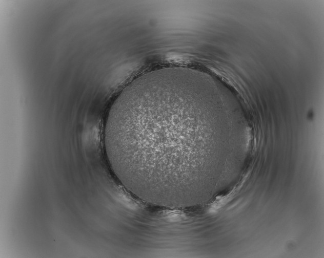 X0000091060424200708131134