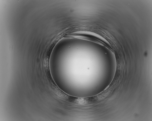 X0000091060425200708131134