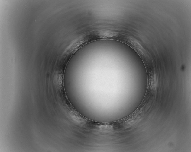 X0000091060426200708131134