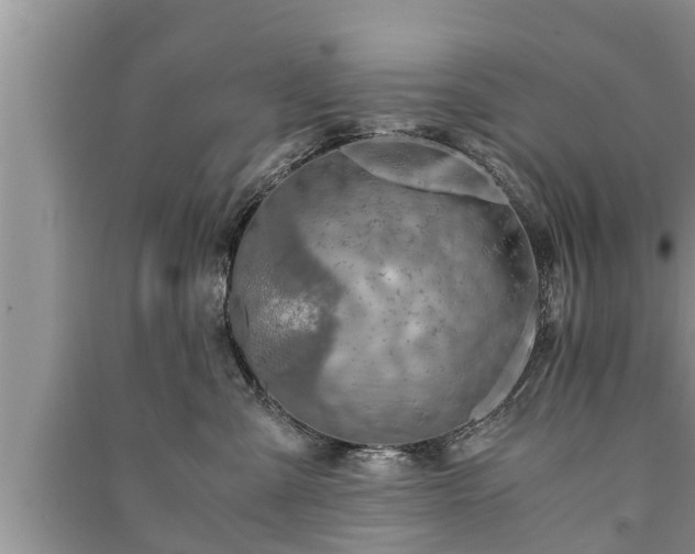 X0000091060427200708131134