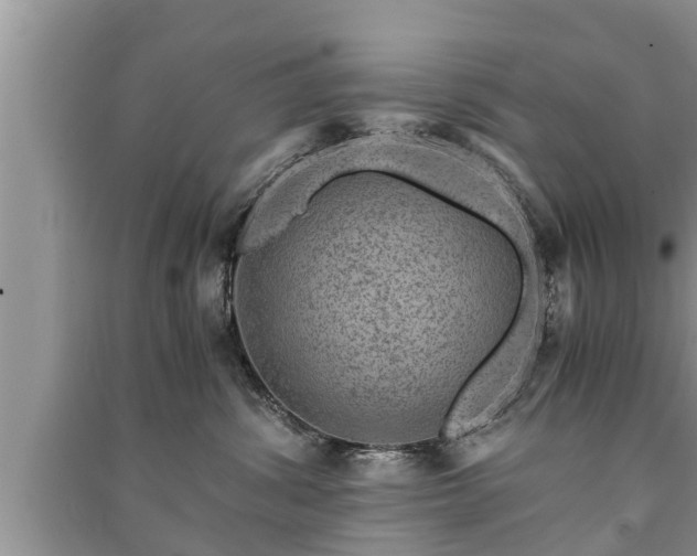 X0000091060428200708131134