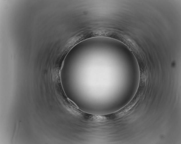 X0000091060429200708131134