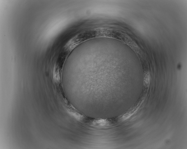 X0000091060431200708131134