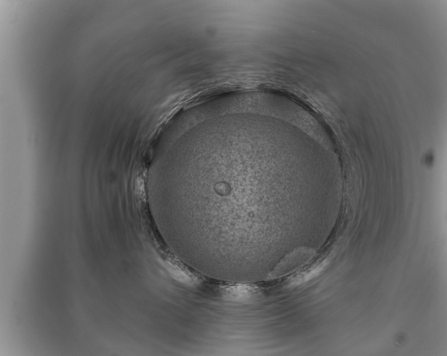 X0000091060432200708131134