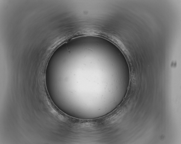 X0000091060433200708131133