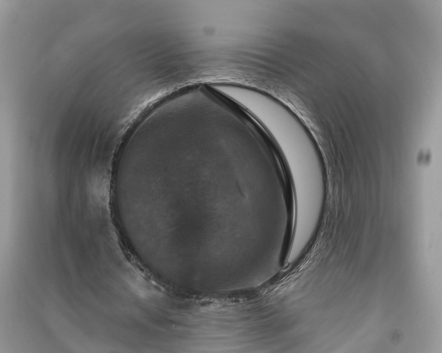 X0000091060434200708131133
