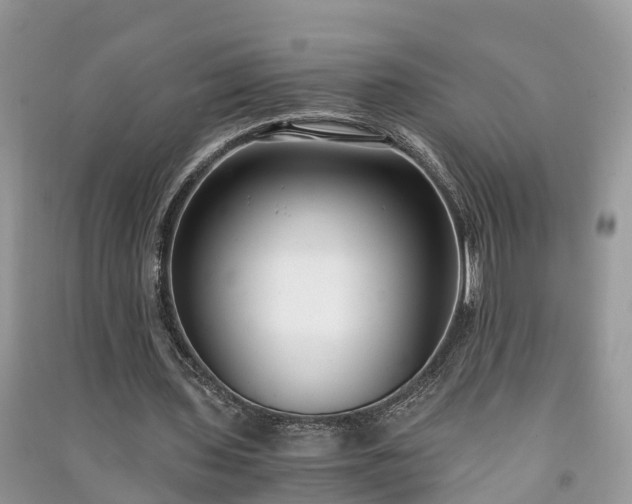 X0000091060435200708131133