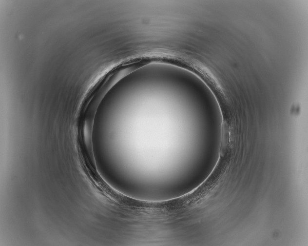 X0000091060436200708131133