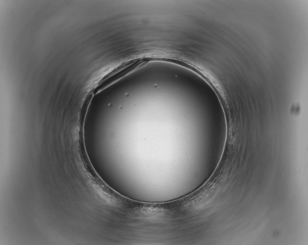 X0000091060437200708131133