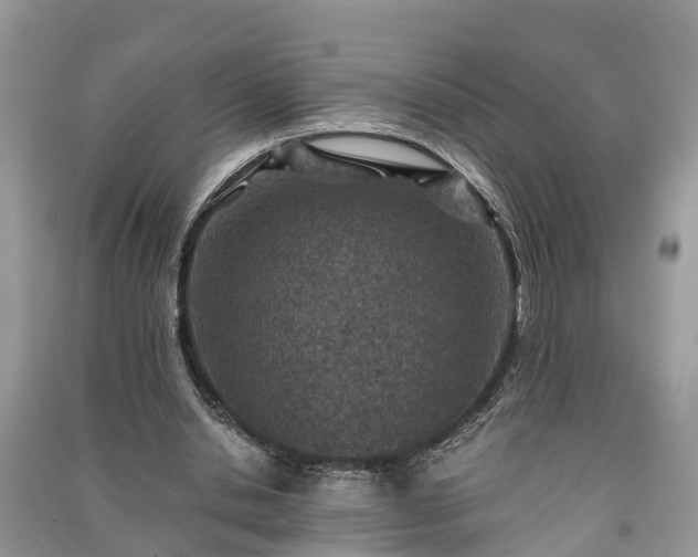 X0000091060438200708131133
