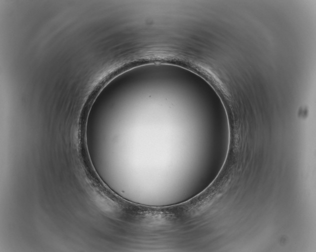 X0000091060439200708131133