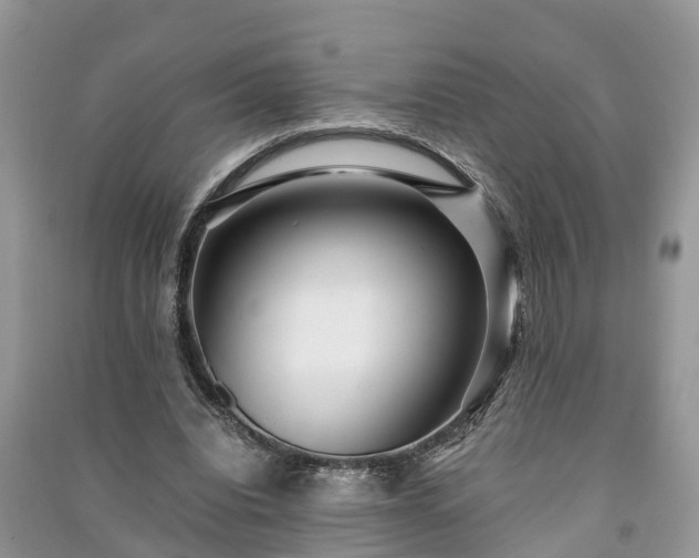 X0000091060440200708131133