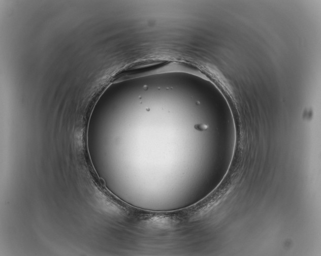 X0000091060441200708131133