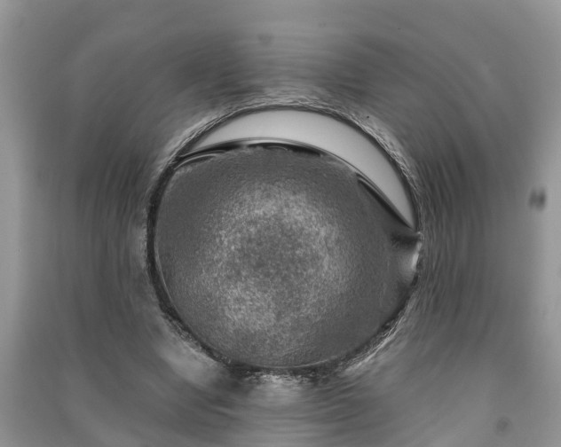 X0000091060442200708131134