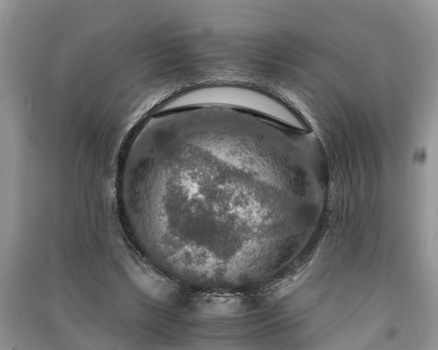 X0000091060443200708131134