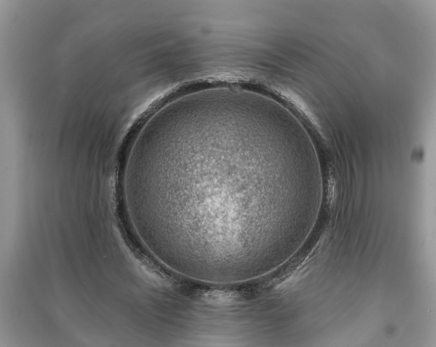 X0000091060444200708131134