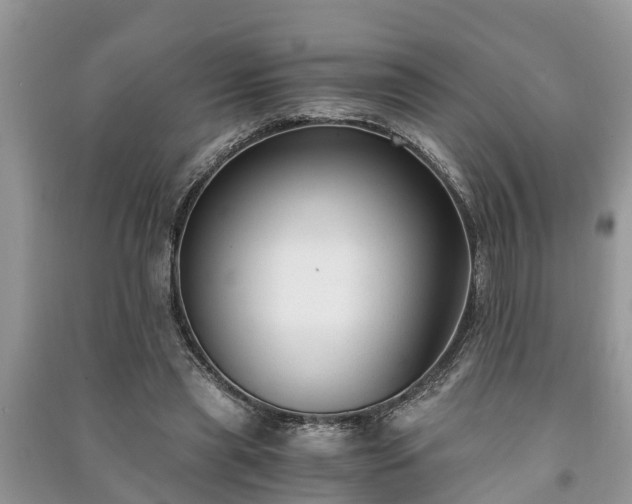X0000091060445200708131134
