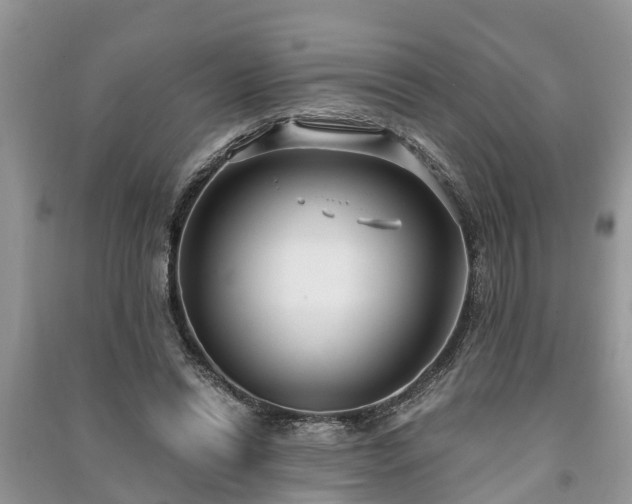 X0000091060446200708131134